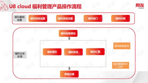 U8Cloud實(shí)施工具與薪酬福利管理 非學(xué)歷職業(yè)技能培訓(xùn)的文檔資源指南